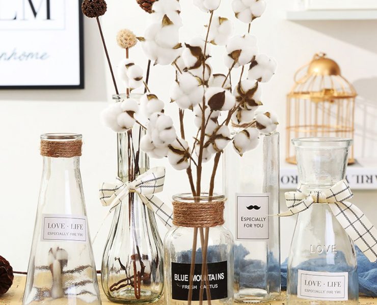 Cotton branches in glass vase