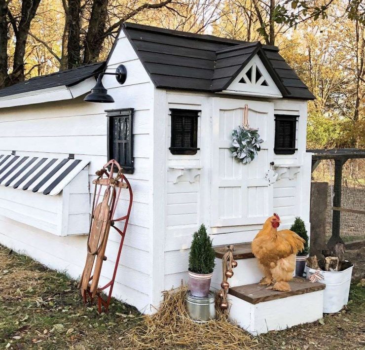 Winterize the chicken coop with festive decor for winter