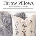 Two farmhouse throw pillows
