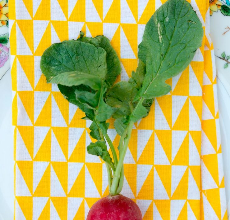 Radish on a napkin