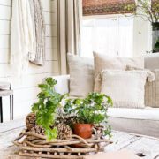 Living room with plants on a coffee table and cozy home throw pillows