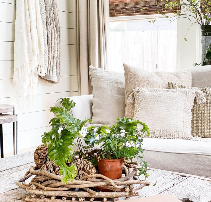 Living room with plants on a coffee table and cozy home throw pillows