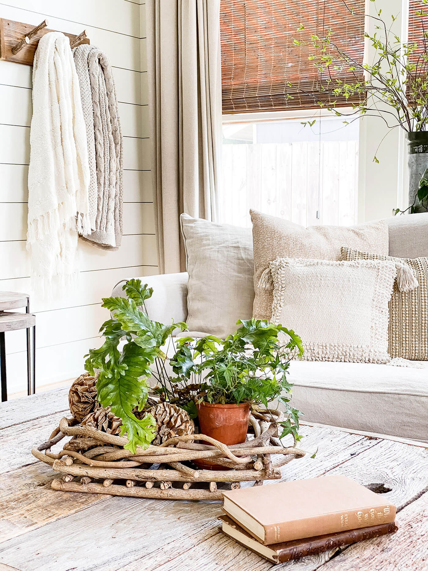 Living room with plants on a coffee table and cozy home throw pillows