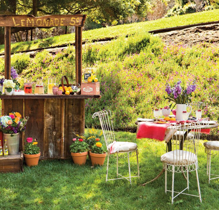 lemonade stand luncheon