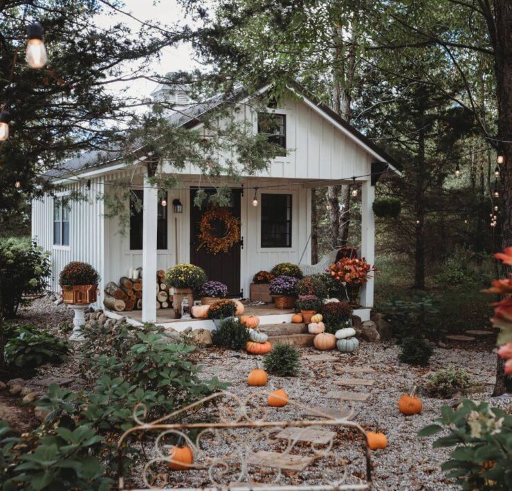 A white rustic style fall she shed with a porch is surrounded by mums and pumpkins