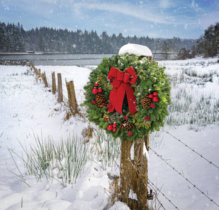 fresh Christmas wreath in snow